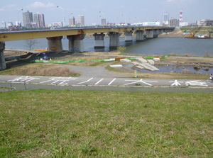 Sign3 Sign3